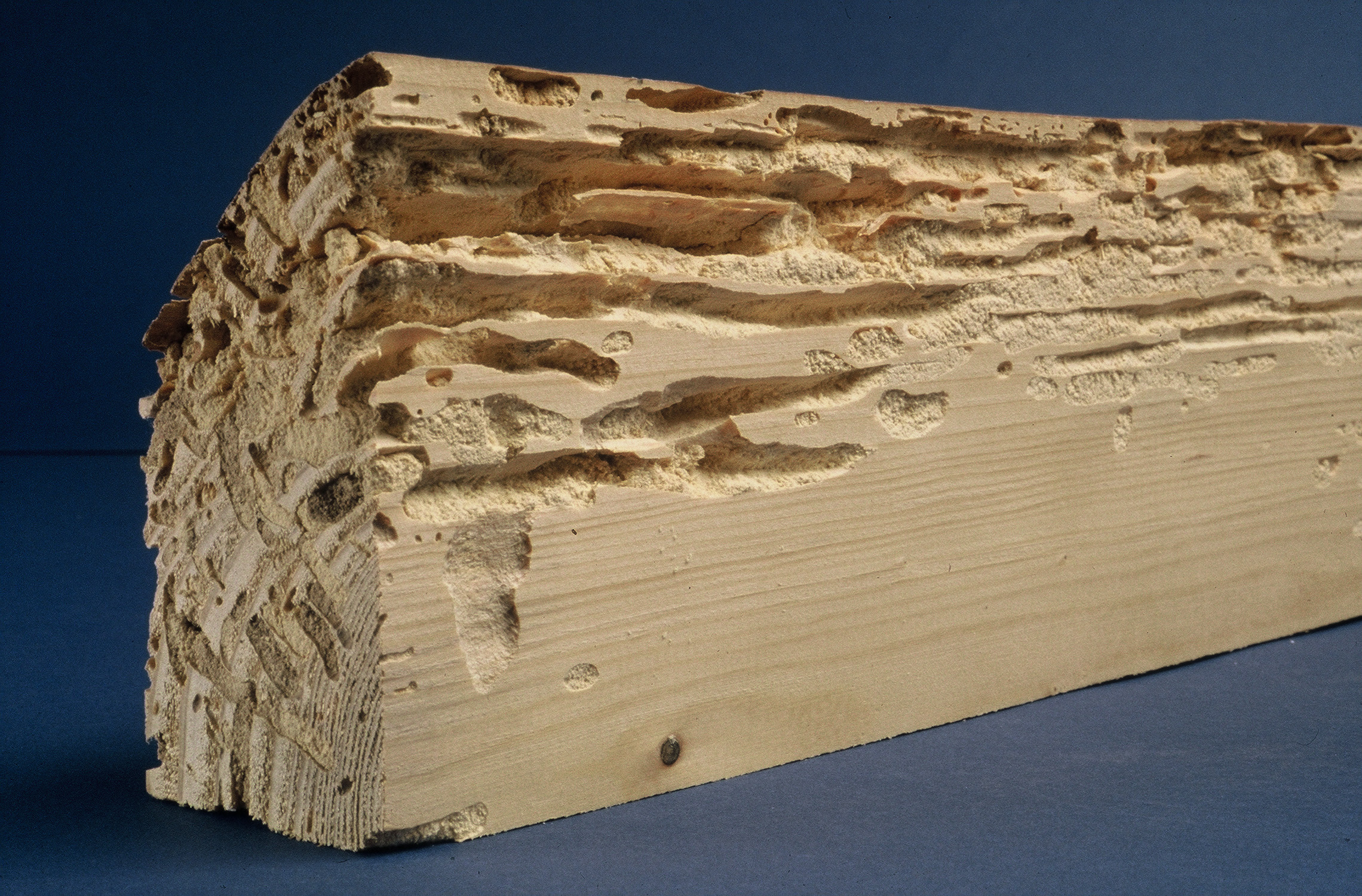 Traitement de charpente, bois à Annonay